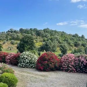 https://tenuta-montemassi-podere-montauzzo.it-tuscanyhotel.com